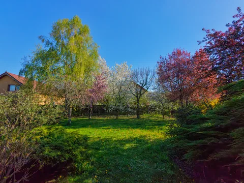 🏠 Oază de Noblețe și Spațiu: Vilă Individuală cu Grădină Matură în Florești - fotografie 18
