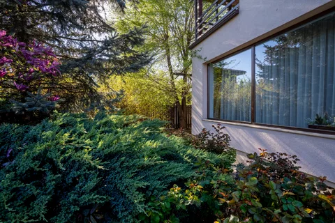 🏠 Oază de Noblețe și Spațiu: Vilă Individuală cu Grădină Matură în Florești - fotografie 19