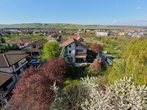 🏠 Oază de Noblețe și Spațiu: Vilă Individuală cu Grădină Matură în Florești - fotografie 20