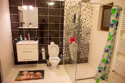 Casa in Sannicoara, 220 mp utili, 300 mp teren - fotografie 14